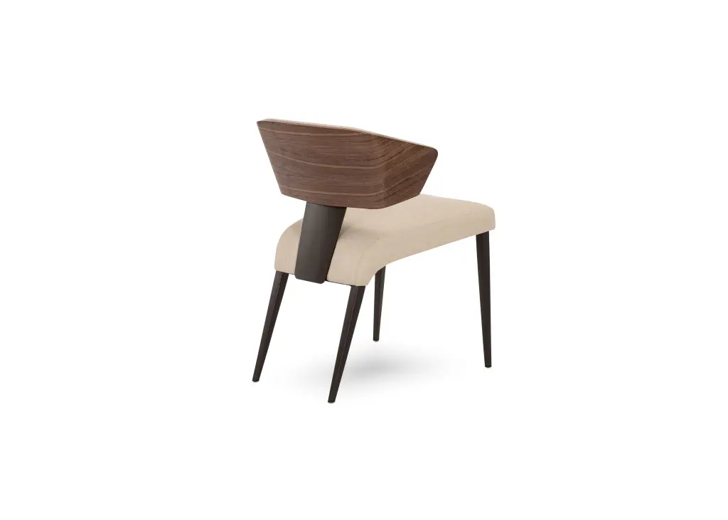 Modern chair with wooden backrest