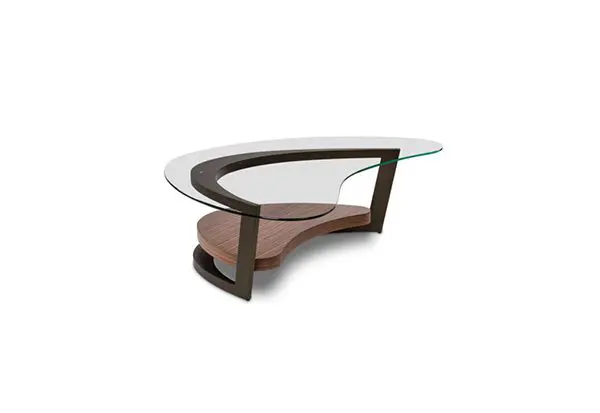 Curved glass coffee table with wooden base