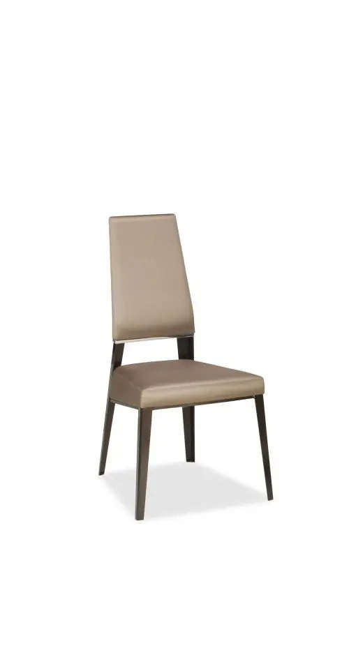Modern beige dining chair