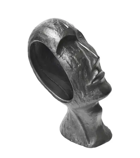 Modern head sculpture design