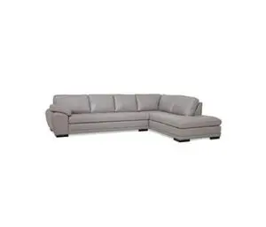 Gray sectional sofa with chaise