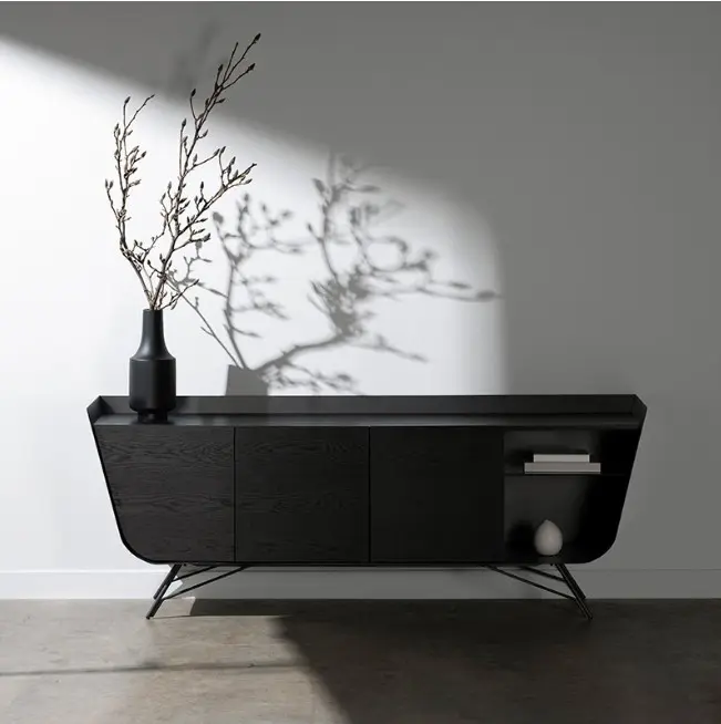 Minimalist black cabinet and branch decor