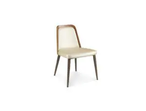 Contemporary chair with cushioned seat