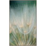 Macro Dandelion II Wall Art